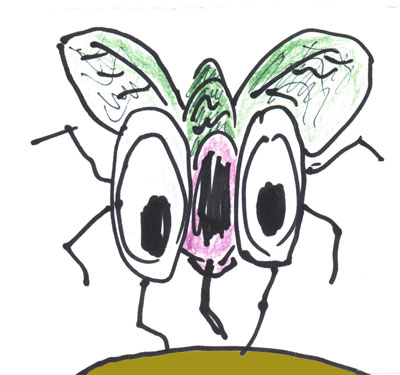 about_flys_1