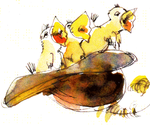 8 w300